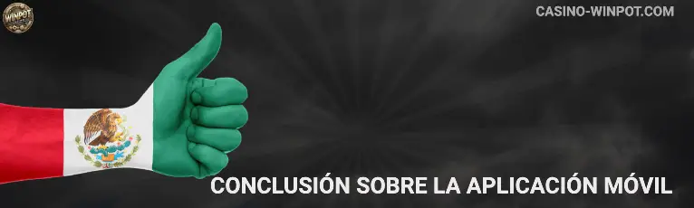 Conclusión sobre la aplicación móvil